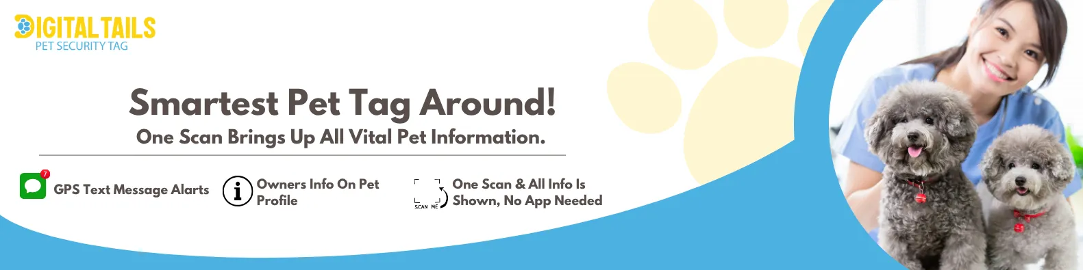 Pet Safety Reinvented 